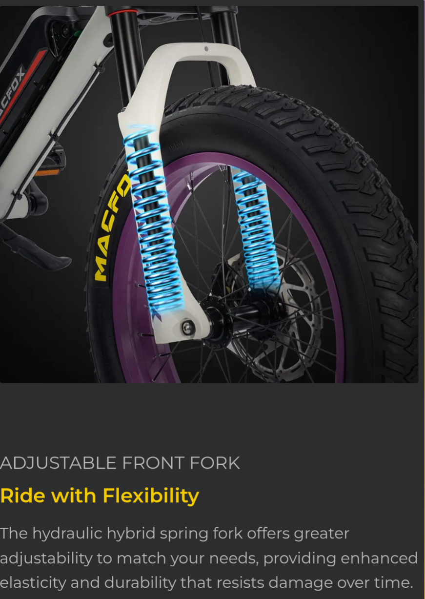 Macfox E-bike X1S x Bs.zay