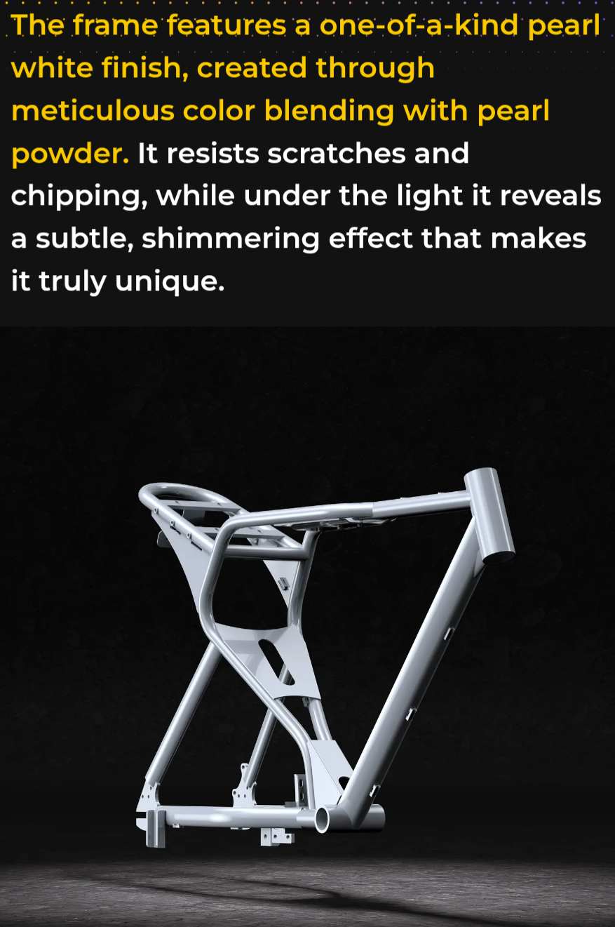 Macfox E-bike X1S x Bs.zay