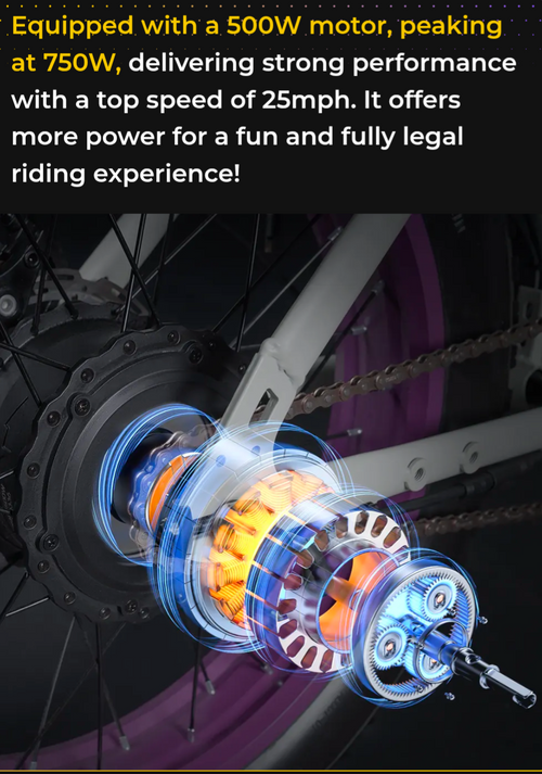 Macfox E-bike X1S x Bs.zay